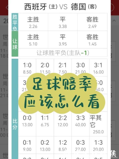 世界杯投注技巧分享:从赔率分析到投注模式 世界杯投注技巧分享:从赔率分析到投注模式